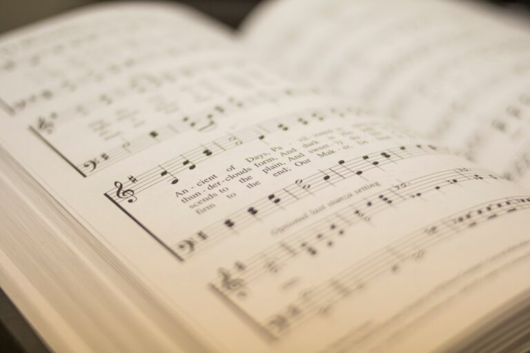 Transform Your Musical Journey with Professional Guidance from Harmony Curl